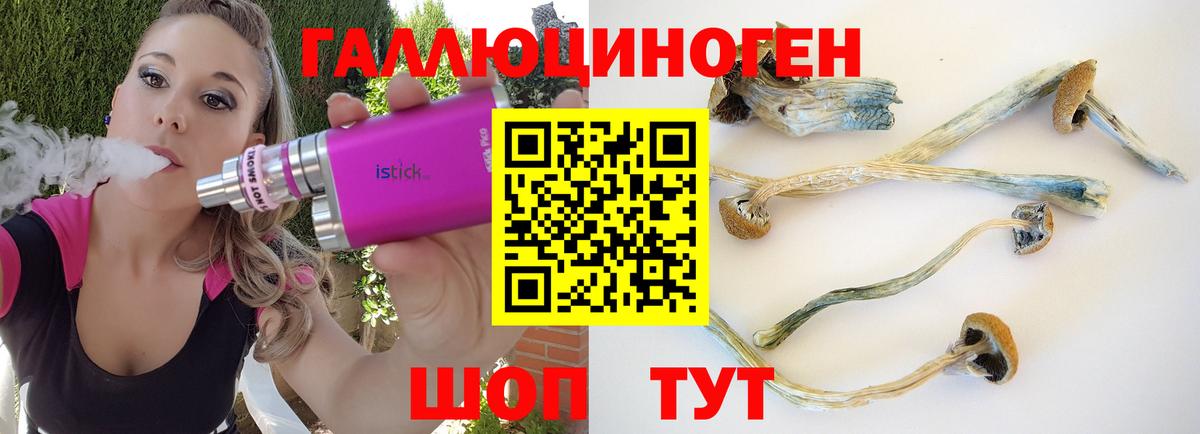 Галлюциногенные грибы Psilocybe Ижевск